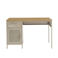 Bureau métal taupe 120cm-Métal-Taupe-Pantone