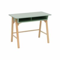 Bureau pour enfants vert et marron