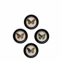 Cadres ronds en bois noir colorés (lot de 4)-Bois-Noir-Chehoma