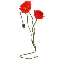 Coquelicots rouges H 73 cm-Maisons du Monde