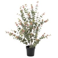 Eucalyptus 120 cm pot h20d21 vert en plastique-Plastique-Vert-lou de castellane