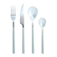 Ménagère 24 pièces en acier inoxydable céladon-Inox-Vert-Novastyl