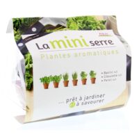 Mini serre herbes aromatiques plastique multicolore-Plastique-Multicolore-Prêt à Jardiner