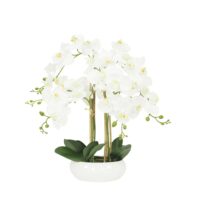 Orchidée artificielle blanche 55cm--Blanc-Ligne Déco