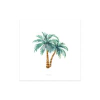 Palmiers affiche murale pour enfants 23x23cm--Vert-Nicolasito