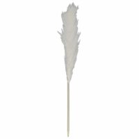 Pampa  naturelle beige en roseau séché hauteur 120 cm--Beige-Altobuy