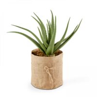 Plante artificielle avec pot Aloe Vera