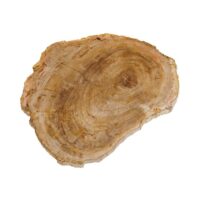 Plateau à découper en bois clair-Bois-Beige-Chehoma