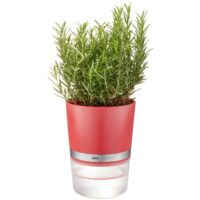Pot d'herbes en plastique rouge-Plastique-Rouge-GEFU