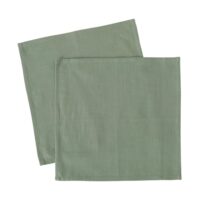 Set de 2 serviettes de table 100% coton vert 40x40cm-Coton-Vert-Wadiga