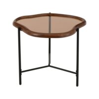 Table basse organique 64x45x48 cm en verre fumé et bois-Verre-Marron-Maison et Styles