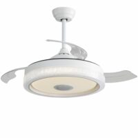 Ventilateur de plafond moderne blanc
